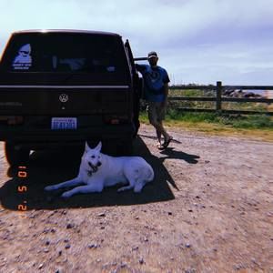 Meet your Posher, Kyle